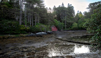 Derreen Garden, Ire