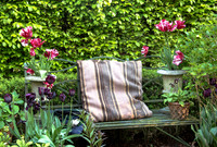 RORY'S GARDEN
