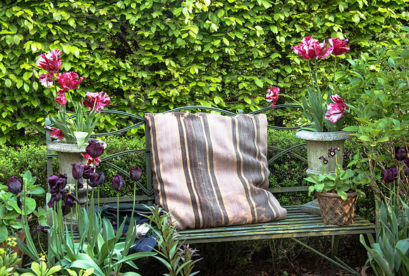 RORY'S GARDEN