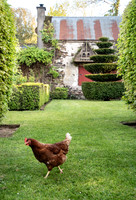 RORY'S GARDEN