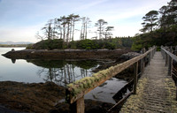 Dereen Garden, Ire