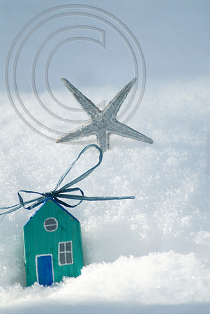 wooden beach hut decorationand star fish