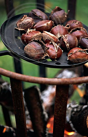 roast chestnuts