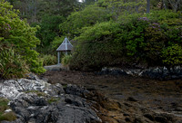 Derreen Garden, Ire