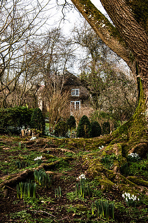 Upton Wold