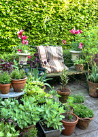 RORY'S GARDEN