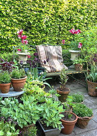 RORY'S GARDEN