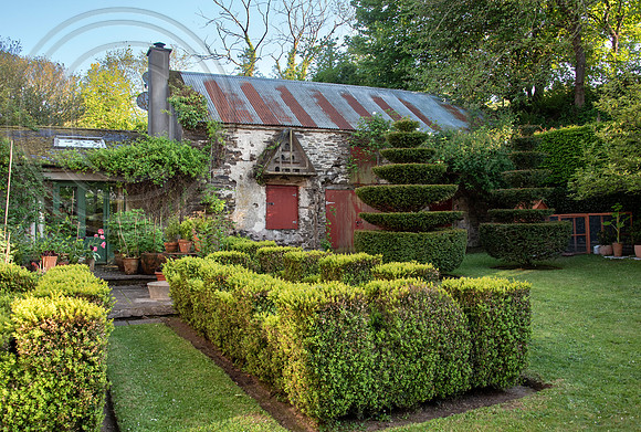 RORY'S GARDEN