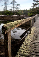 Derreen Garden, Ire