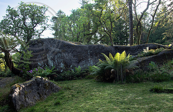 Derreen Garden, Ire