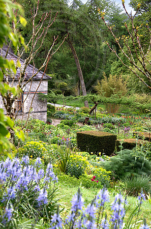 JUNE BLAKES GARDEN