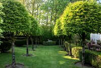 RORY'S GARDEN