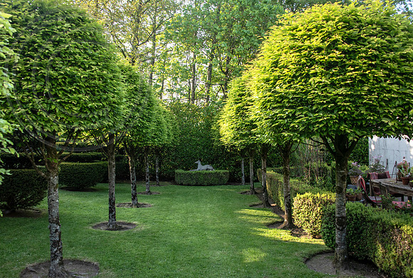 RORY'S GARDEN