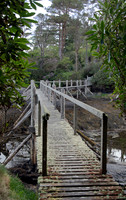 Derreen Garden, Ire