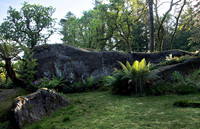 Dereen Garden, Ire