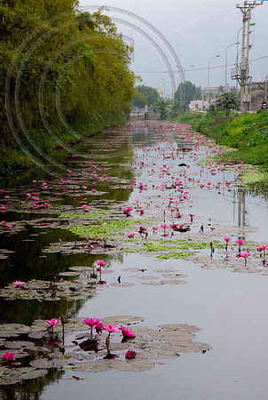 THUNG NANG VALLEY