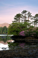 Derreen Garden