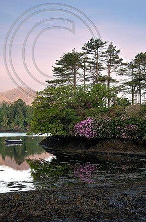 Derreen Garden