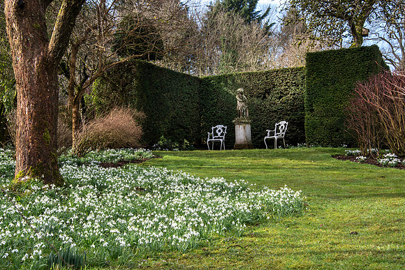 Upton Wold garden